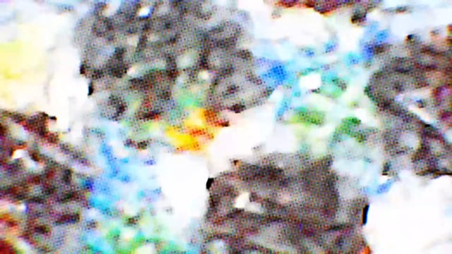 Vimeo