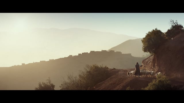 Vimeo