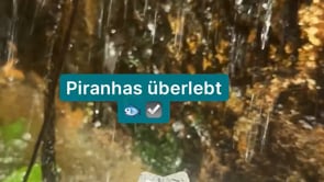 Vimeo